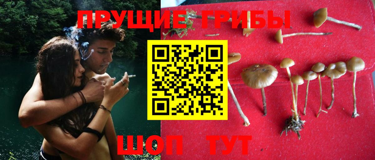 Галлюциногенные грибы ЛСД  Вход с VPN  Вязники 