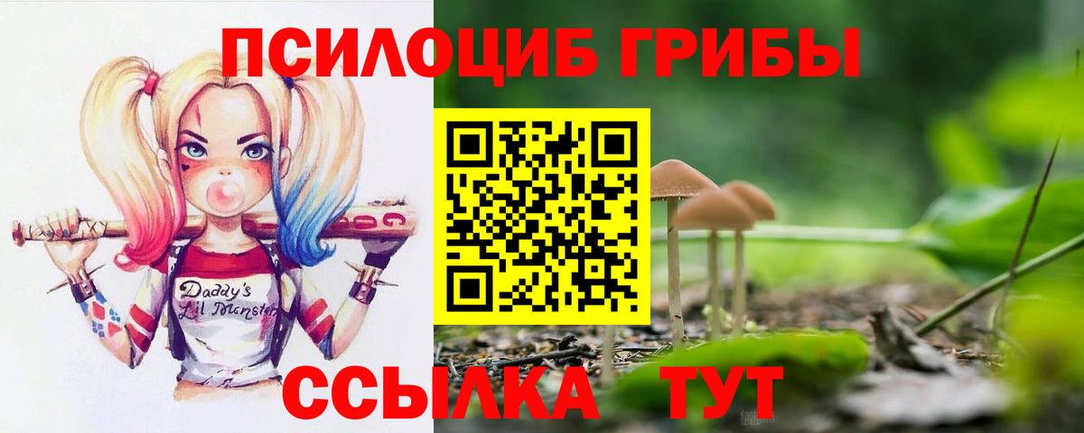 Галлюциногенные грибы GOLDEN TEACHER Вязники